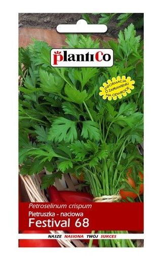 Pietruszka naciowa Festival 500g PlantiCO