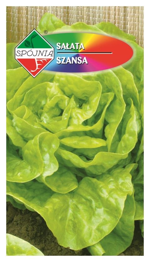 Sałata Szansa 1g Spójnia