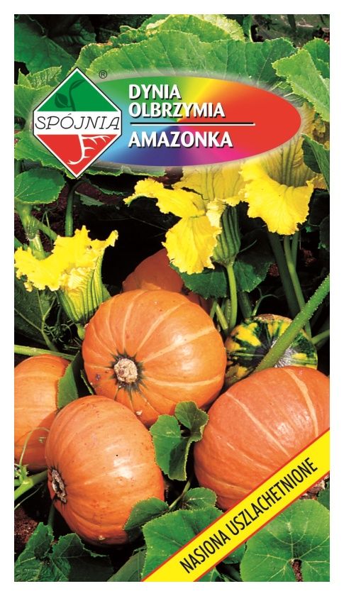 Dynia olbrzymia Amazonka 5g Spójnia