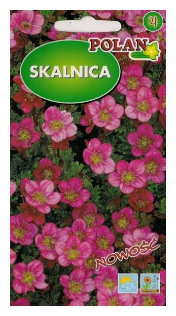 Skalnica 0,05g Plantico