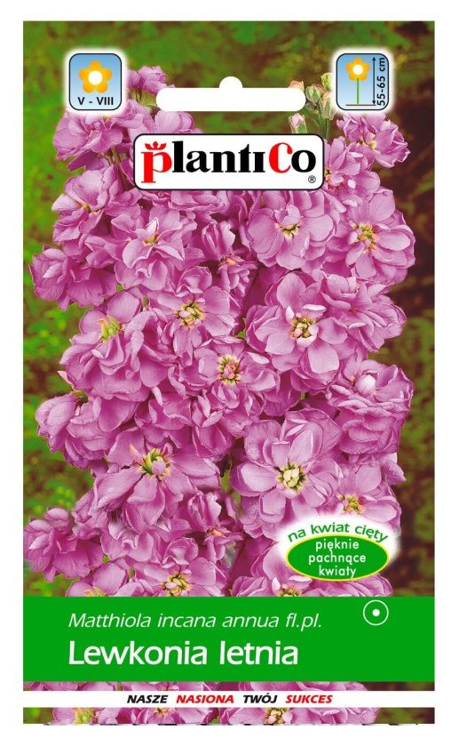 Lewkonia letnia fioletowa 0,5g PlantiCO
