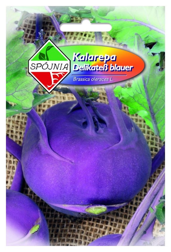 Kalarepa Delikatess Blauer 1g Spójnia