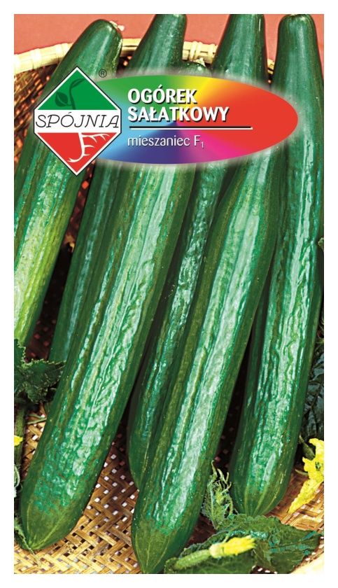 Ogórek szklarniowy Dukat F1 1g Spójnia
