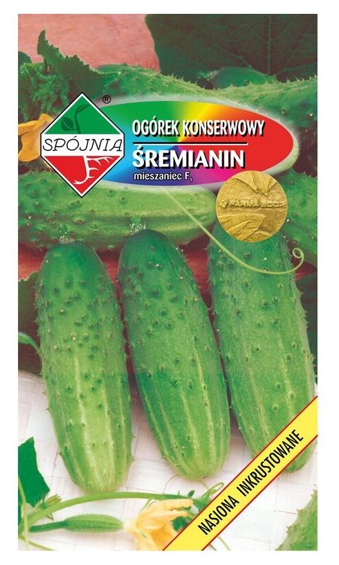 Ogórek Śremianin F1 2g Spójnia