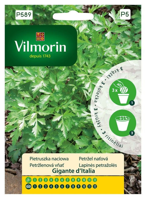 Nasiona pietruszki na krążku Gigante D'Italia Vilmorin