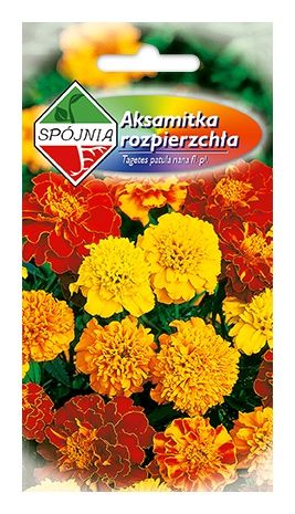 Aksamitka rozpierzchła mieszanka 1g Spójnia