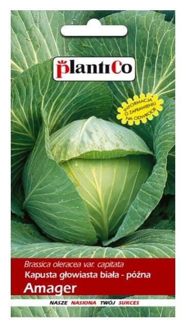 Kapusta Amager Polana 10g Plantico