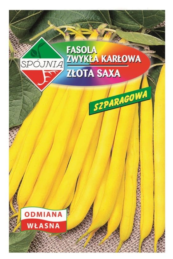 Fasola żółta szparagowa Saxa 50g Spójnia