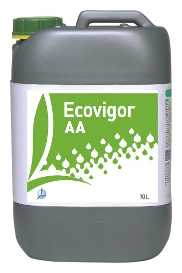 Ecobigor 10L Timac Agro