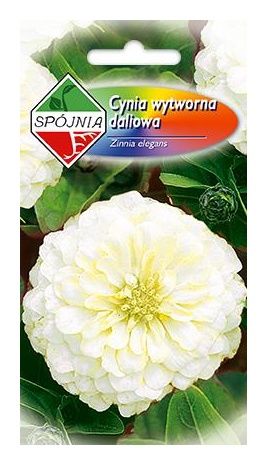 Cynia daliowa wytworna Purity 1g Spójnia