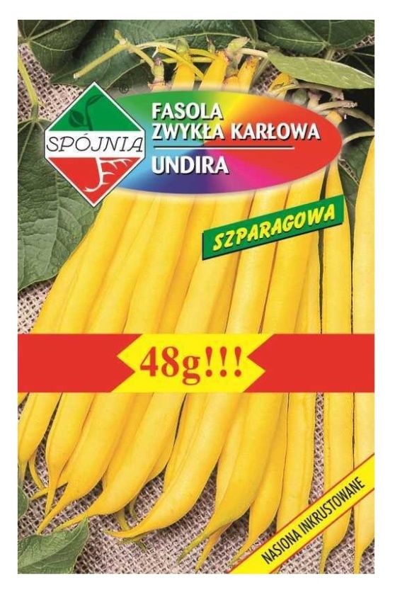 Fasola żółta szparagowa karłowa Undira 48g Spójnia