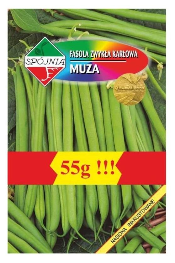 Fasola zielona szparagowa Muza 55g Spójnia