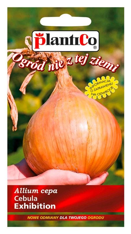 Cebula Exhibition 1g PlantiCo