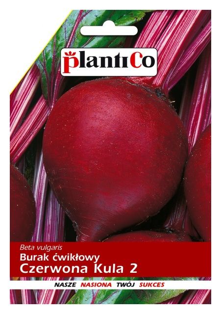 Burak ćwikłowy CZERWONA KULA 12g PlantiCo