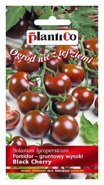 Pomidor gruntowy Black Cherry 0,2g PlantiCo