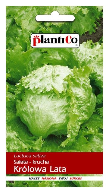 Sałata krucha Królowa Lata 0,5g Plantico