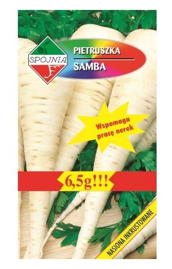 Pietruszka korzeń Samba 6,5g Spójnia
