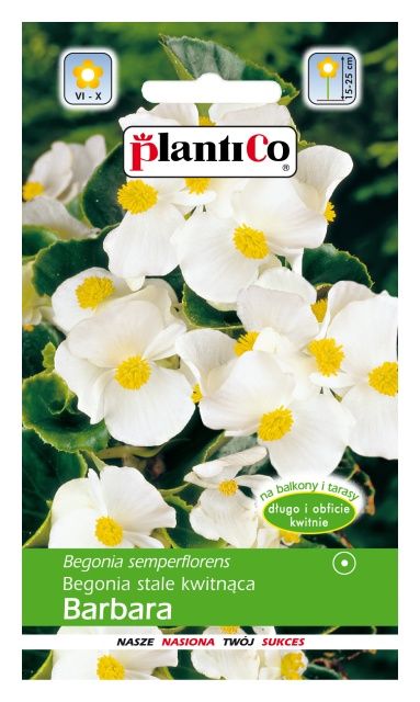 Begonia stale kwitnąca Barbara 0,1g Plantico
