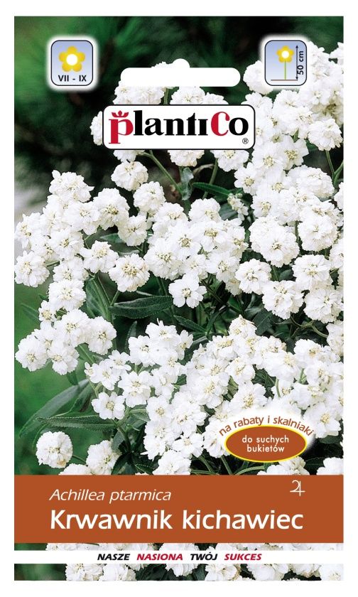 Krwawnik kichawiec 0,3g PlantiCO