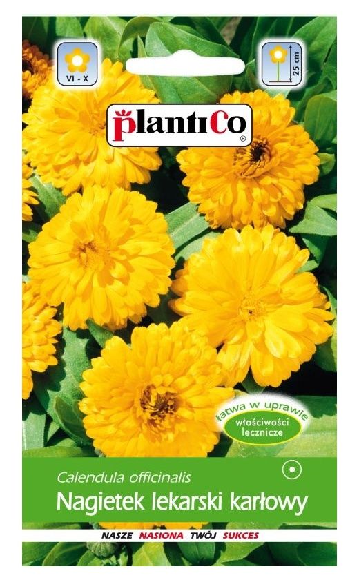 Nagietek lekarski karłowy żółty 2g PlantiCO