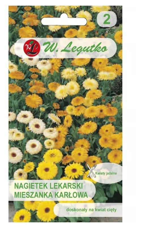 Nagietek lekarski mieszanka karłowa 3g Legutko