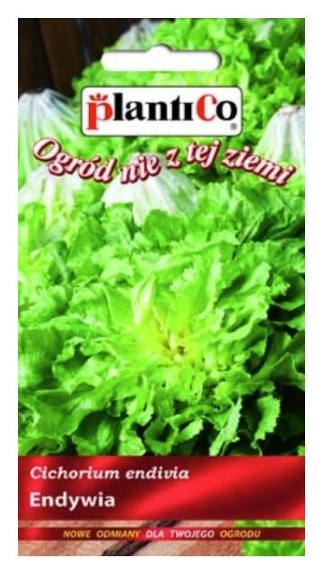 Sałata Endywia Bionda 0,2g Plantico