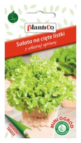 Sałata Endywia Riccia 0,2 od Plantico