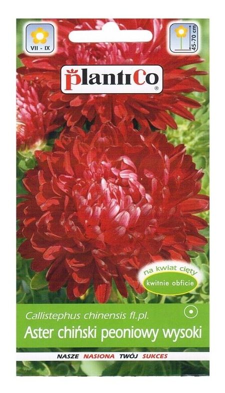Aster chiński peoniowy Stanisław 1g PlantiCO