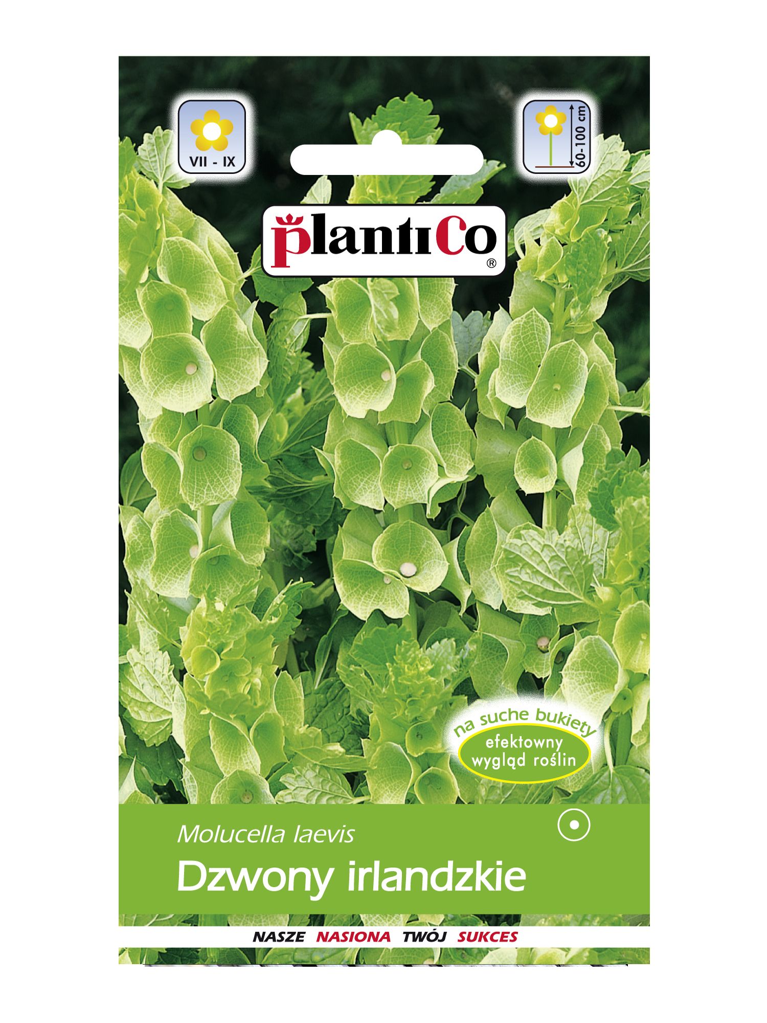 Dzwony irlandzkie 0,5g PlantiCo