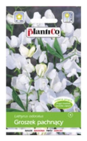 Groszek pachnący biały 2g Plantico
