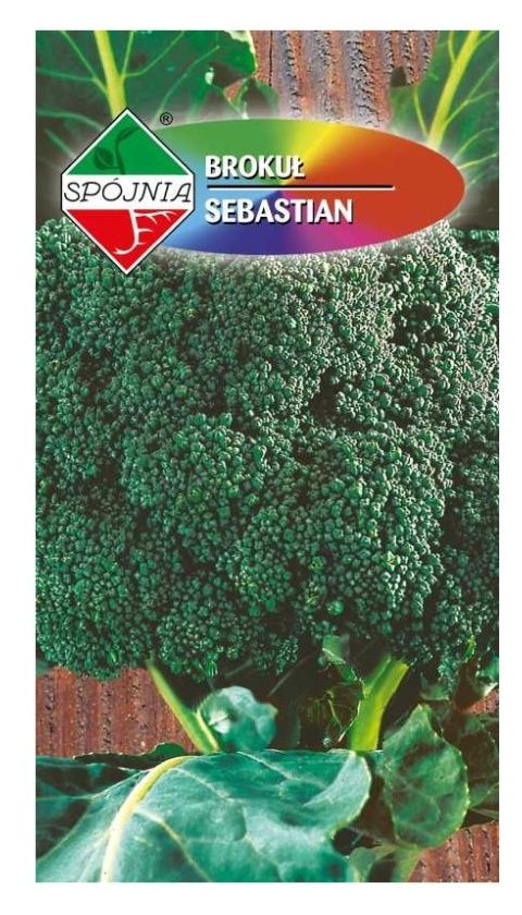 Brokuł Sebastian 1g Spójnia