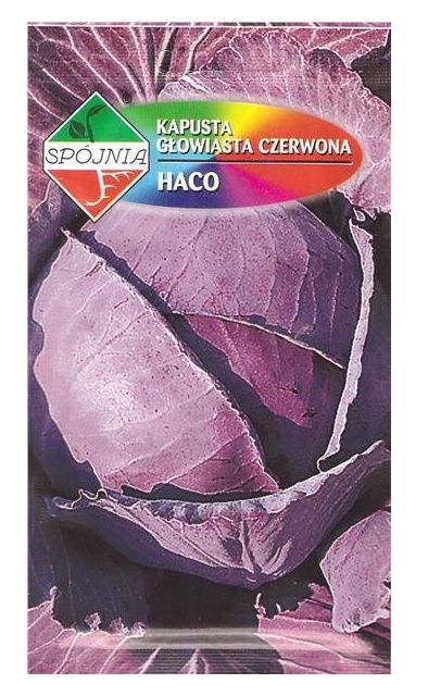 Kapusta czerwona Haco 1g Spójnia
