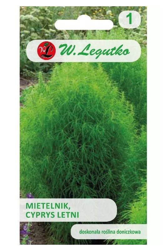 Mietelnik Cyprys letni zielony 1g Legutko