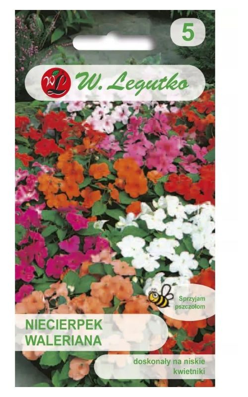 Niecierpek Waleriana - mieszanka F2 0,1g Legutko 