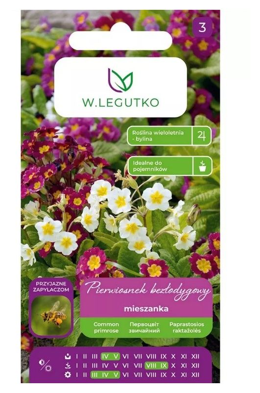Pierwiosnek bezłodygowy mieszanka 0,1g Legutko