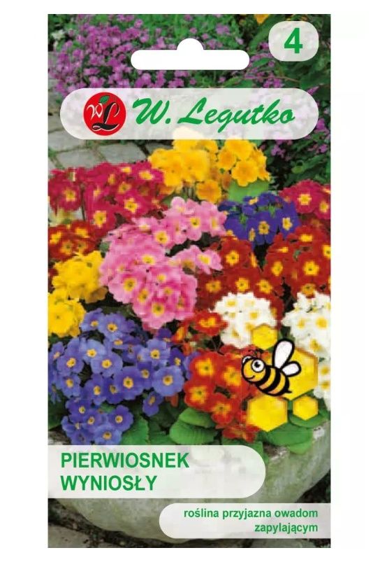 Pierwiosnek wyniosły mieszanka 0,3g Legutko
