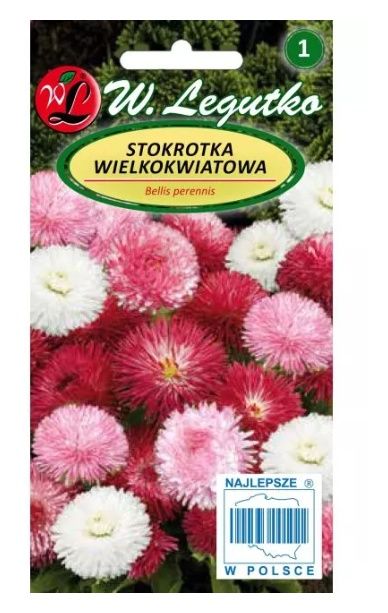 Stokrotka wielkokwiatowa mieszanka 0,1g Legutko