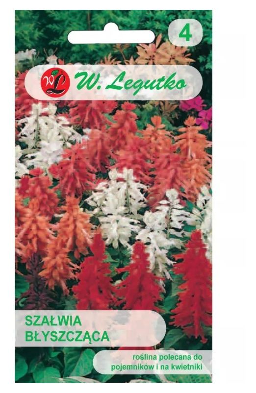 Szałwia błyszcząca mieszanka 0,3g Legutko 