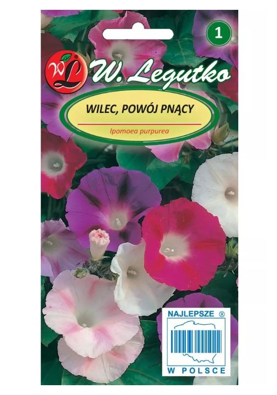 Wilec Powój pnący mix 5g Legutko