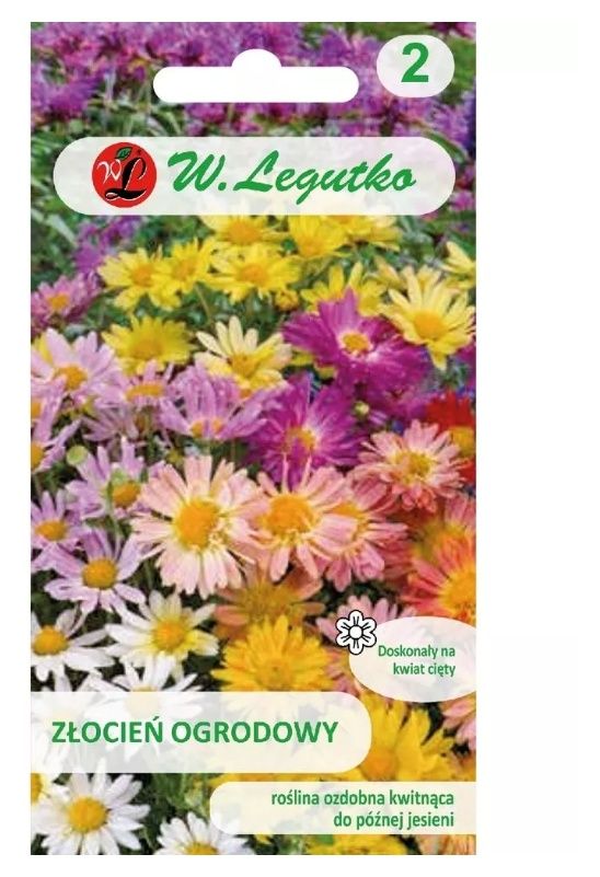 Złocień ogrodowy mieszanka pełnokwiatowa 0,05g Legutko