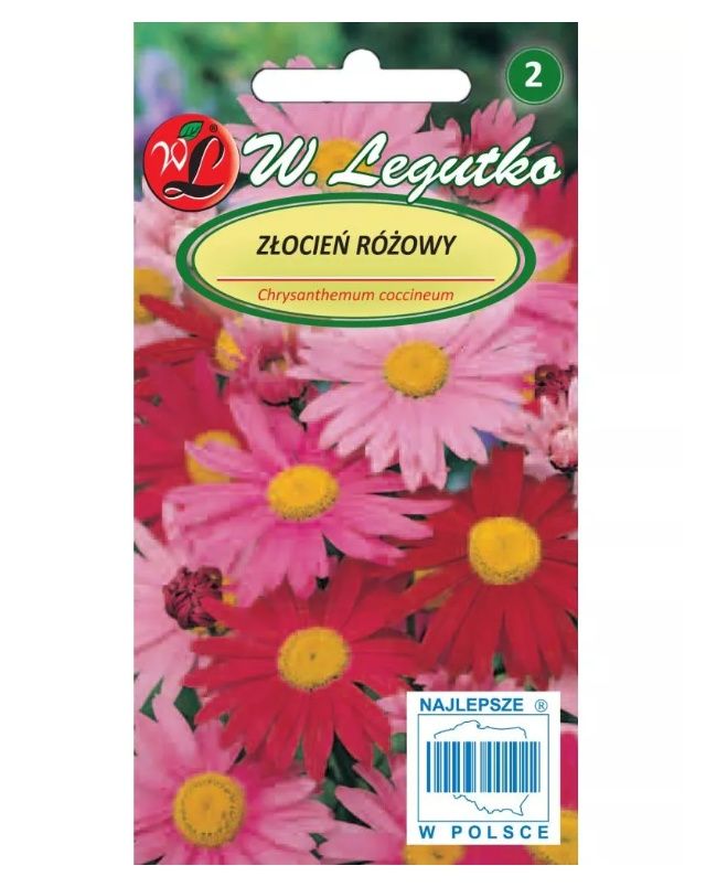 Złocień różowy mix 0,3g Legutko