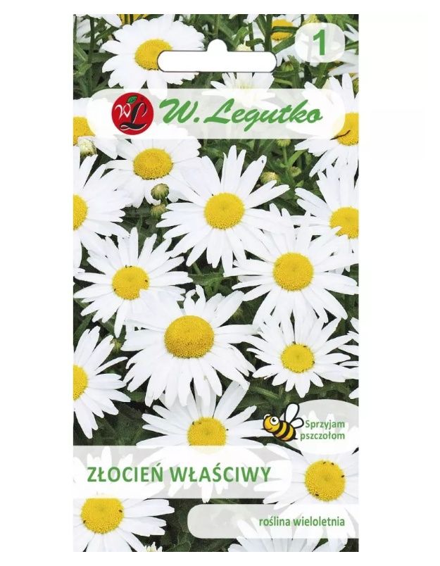 Złocień właściwy 1g Legutko