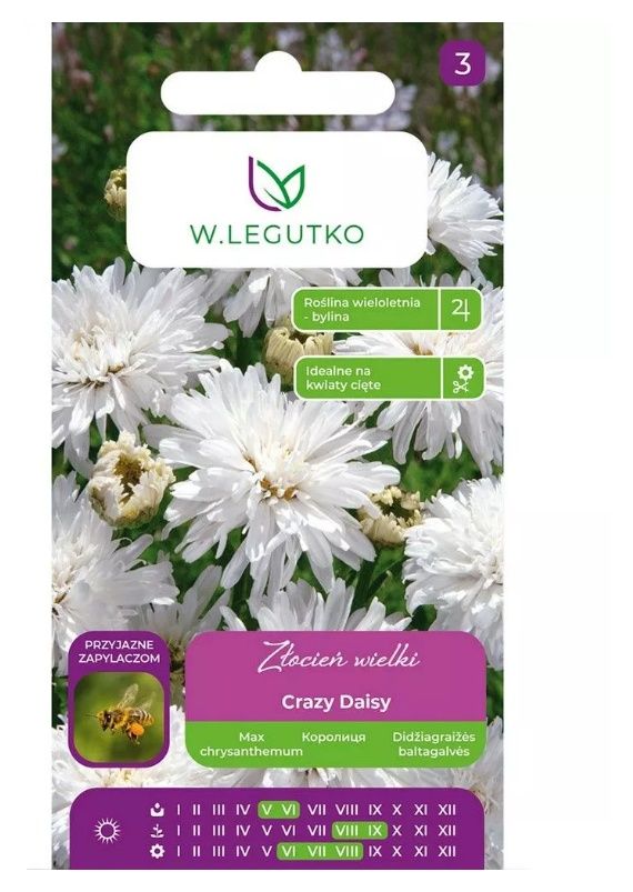 Złocień wielki Crazy Daisyo biały 2g Legutko