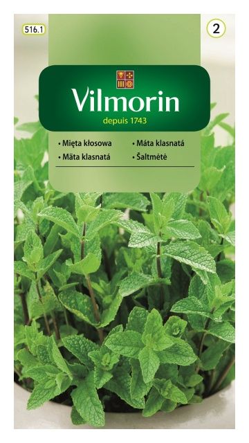 Mięta kłosowa 0,1g Vilmorin