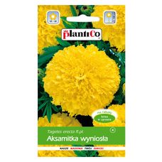 Aksamitka wyniosła Zółta 1g Plantico