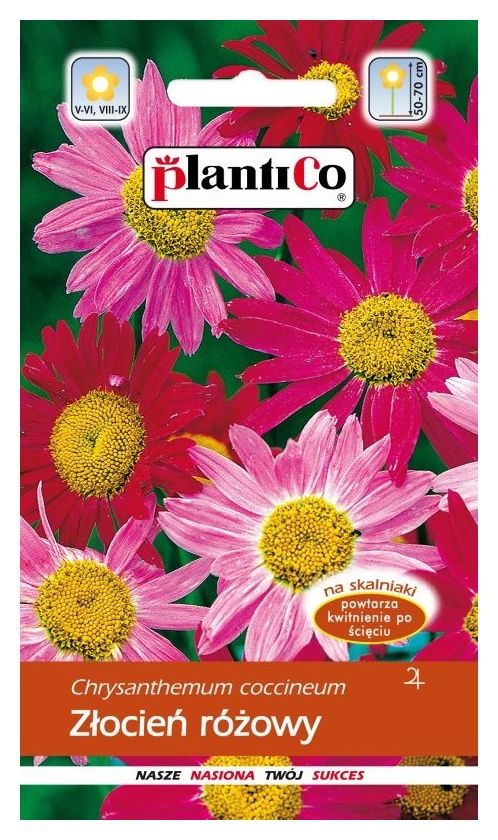 Złocień różowy 0,5g PlantiCO