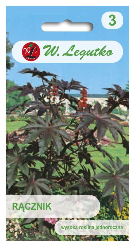 Rącznik Czerwonolistny 6 nasion Legutko 