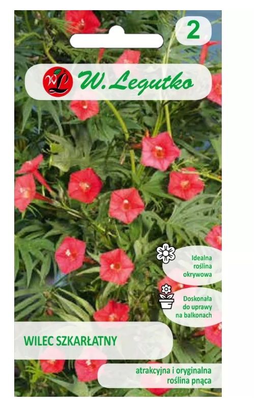 Wilec szkarłatny czerwony 1g Legutko