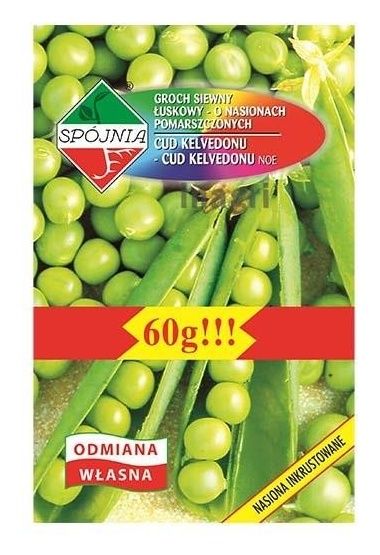 Groch CUD KELVEDONU 60g Spójnia