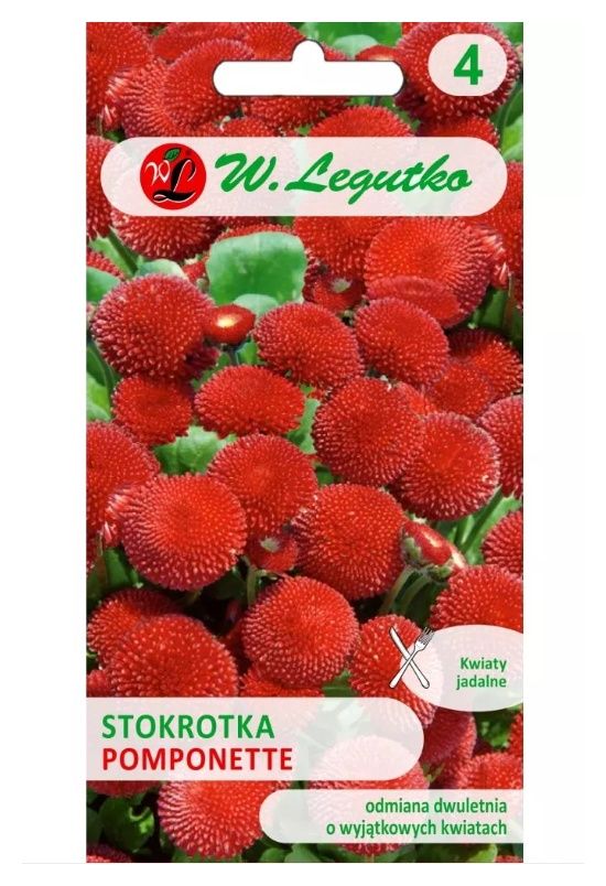 Stokrotka Pomponette czerwona 0,1g Legutko